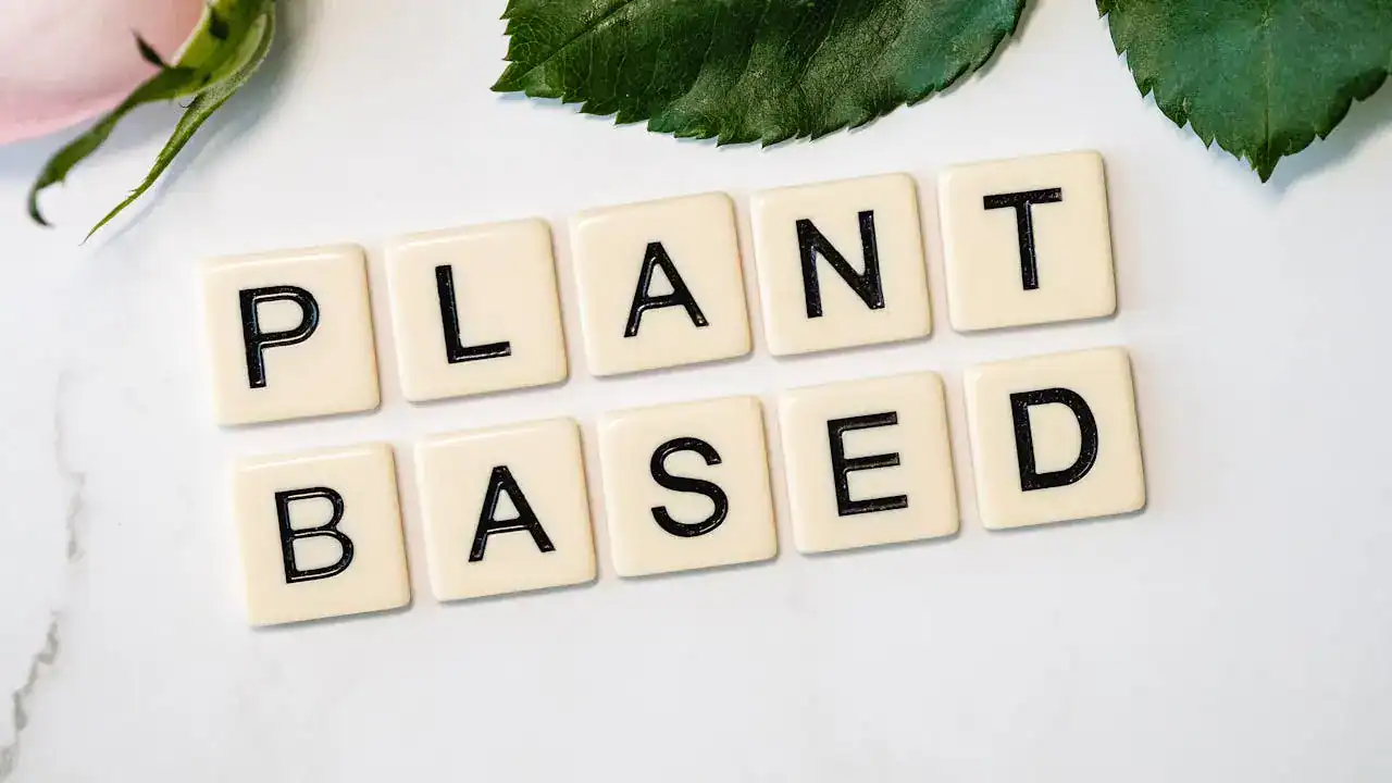 Artikelen 1 Plantaardig eten vragen - Het Plantaardige Alternatief