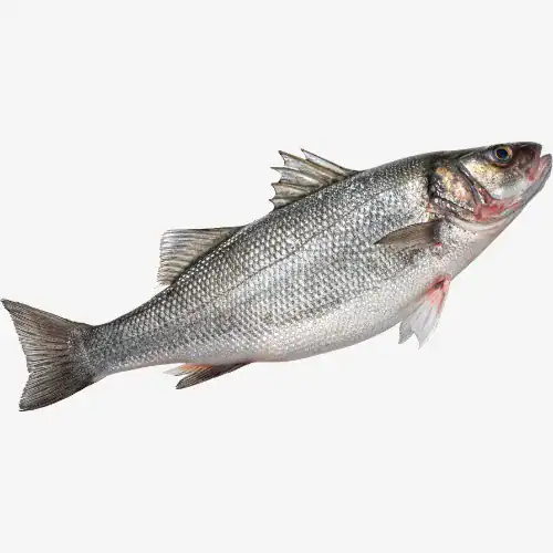 Het Plantaardige Alternatief 9 Vis vervangen