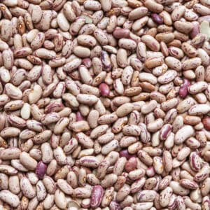 borlotti bonen biologische