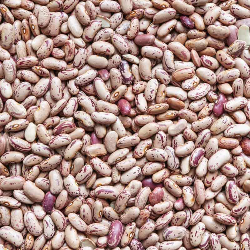 borlotti bonen biologische