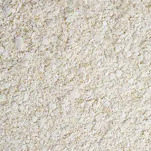 edelgistvlokken 300x300 1