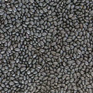 zwarte bonen biologische