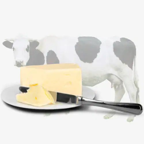 Het Plantaardige Alternatief 4 Boter