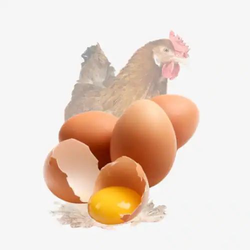 Het Plantaardige Alternatief 1 EI