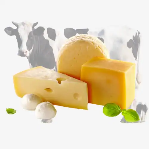 Het Plantaardige Alternatief 3 Kaas