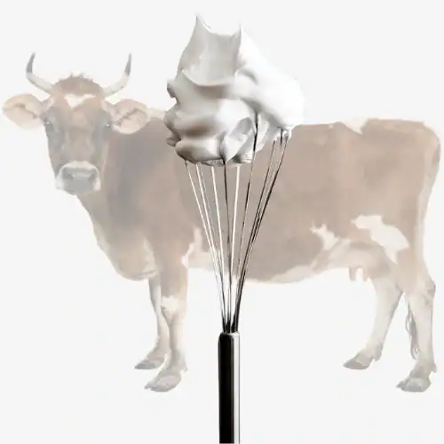 Het Plantaardige Alternatief 5 SlagRoom